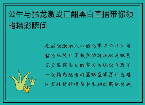 公牛与猛龙激战正酣黑白直播带你领略精彩瞬间